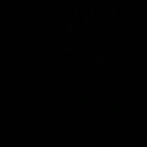 Meet your Posher, Gabriela